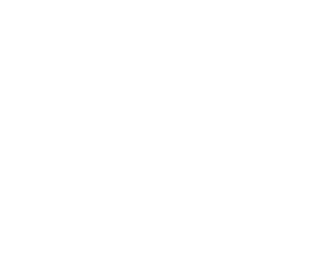 TokVendors logo (white)